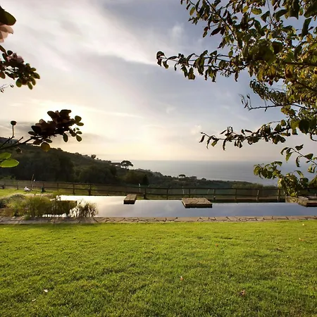 House With Sea View In Capo Di 펜션 소렌토